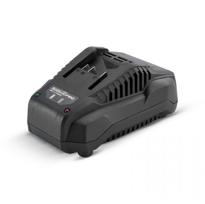 Зарядно устройство Bormann Pro BBP2003, 20 V (032977)