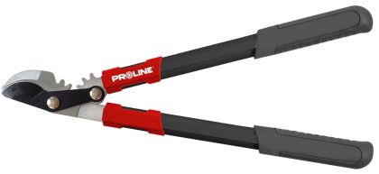 PROLINE Ножица за клони до ф25 мм 485 мм (PRO40055)-1