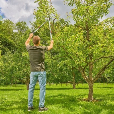 Телескопична ножица за клони Gardena Entry Lopper Telescopic, 42 мм, 65-90 см (12020-20)